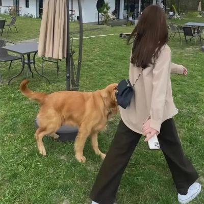 火喰鸟之鸣
